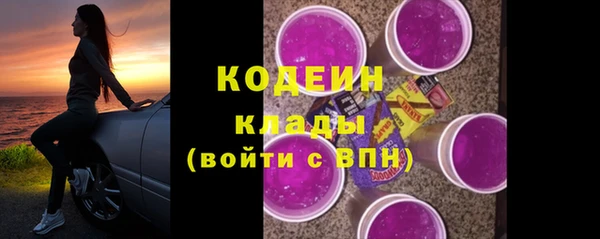 дурь Алексин