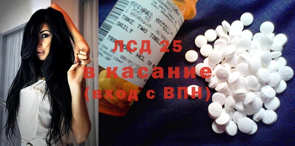 крисы Алзамай
