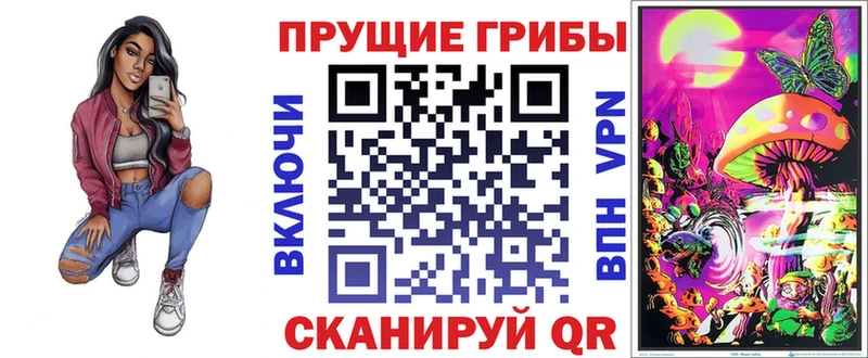 Галлюциногенные грибы Psilocybine cubensis  площадка наркотические препараты  MEGA онион  Бежецк  наркотики 